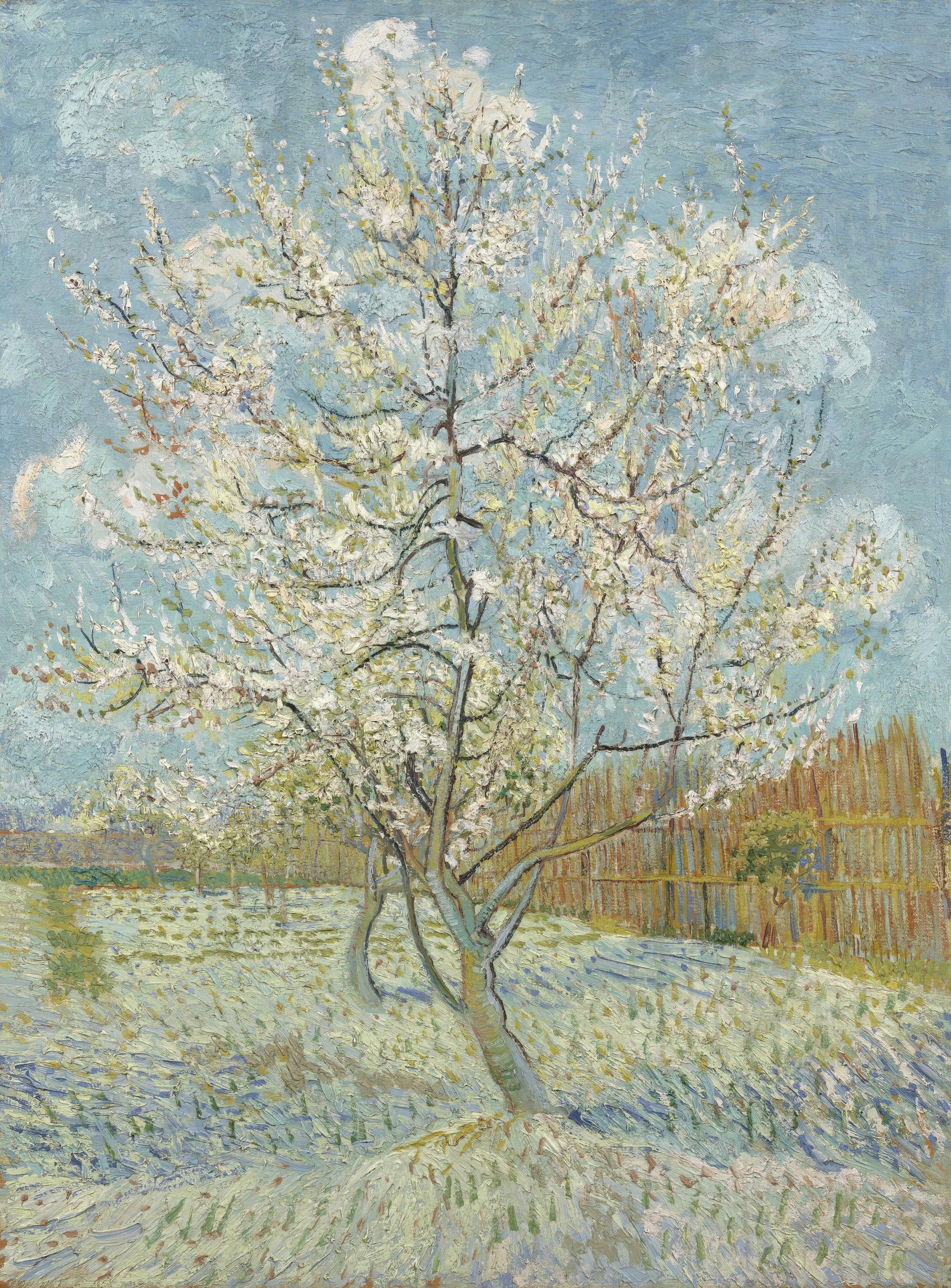 Le Pêcher rose F404 de Vincent van Gogh, Van Gogh Museum