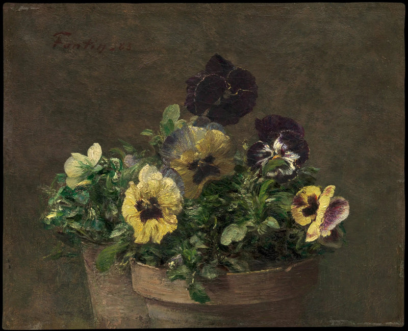 pensées en pot - Henri Fantin-Latour
พินเซ่ในกระถาง - อองรี แฟงแต็ง-ลากูร์