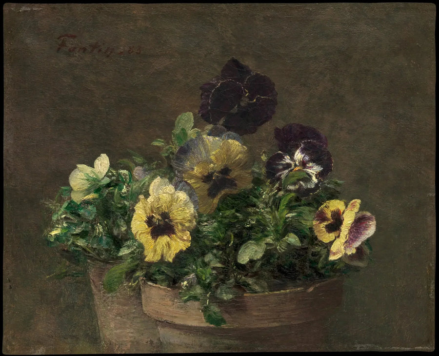 pensées en pot - Henri Fantin-Latour
พินเซ่ในกระถาง - อองรี แฟงแต็ง-ลากูร์