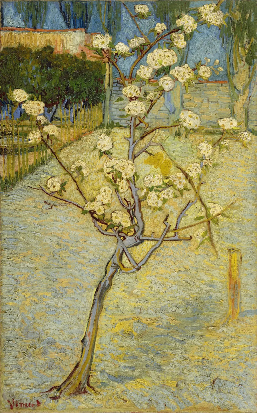 ต้นแพร์เล็กที่กำลังออกดอก - Vincent van Gogh