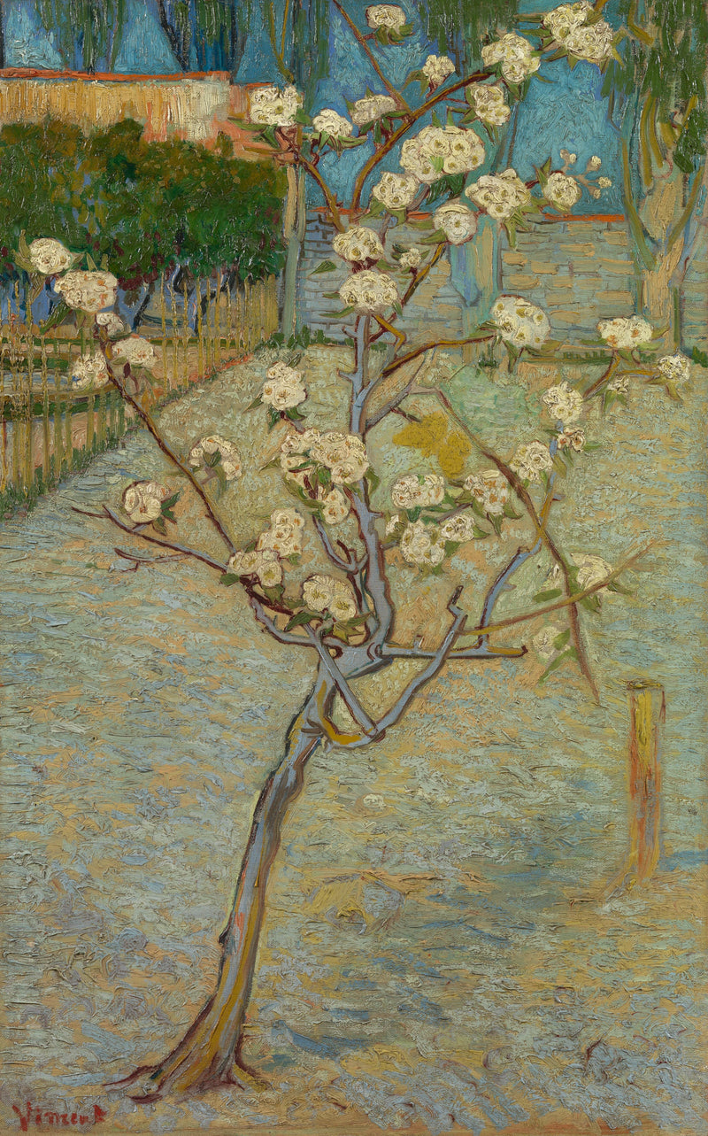 ต้นแพร์เล็กที่กำลังออกดอก - Vincent van Gogh
