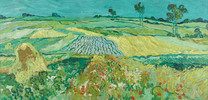 ทุ่งราบออแวร์ - Vincent van Gogh