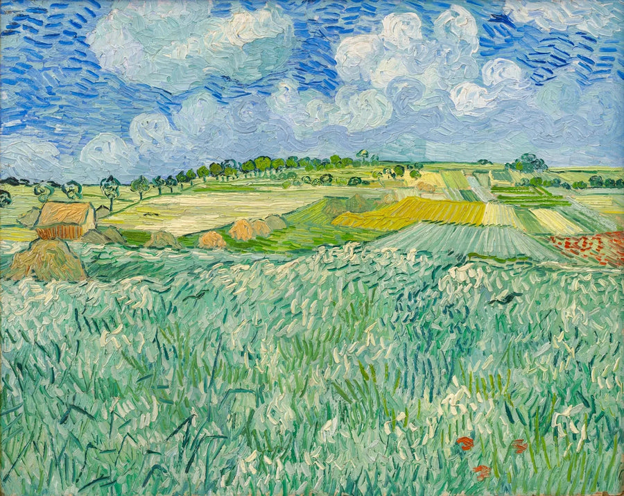 ทุ่งราบใกล้ออแวร์ - Vincent van Gogh