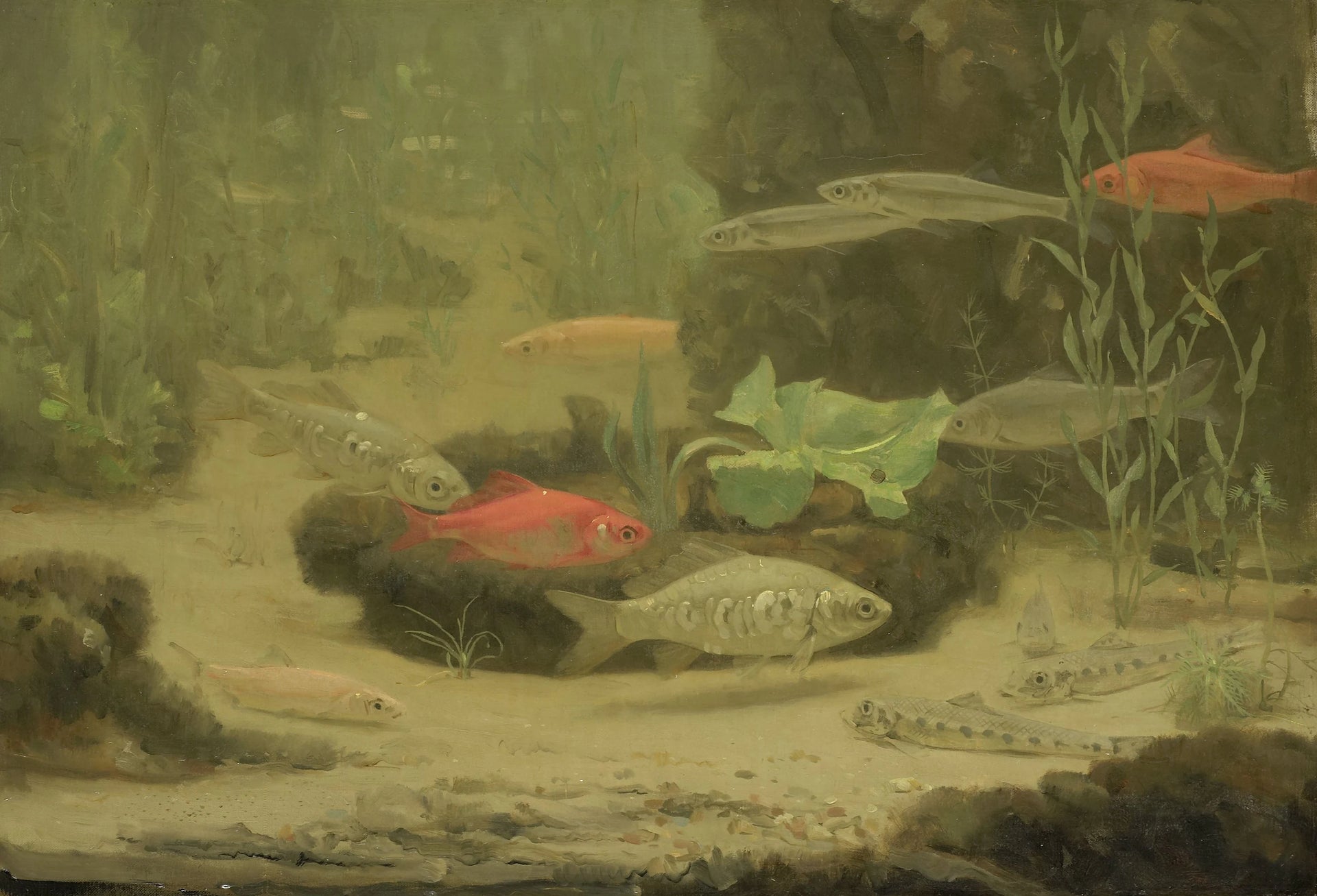 Poissons d'or et d'argent dans un aquarium - Gerrit Willem Dijsselhof