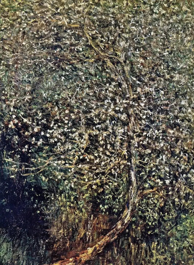 ต้นแอปเปิ้ลบานริมฝั่งน้ำ - Claude Monet
