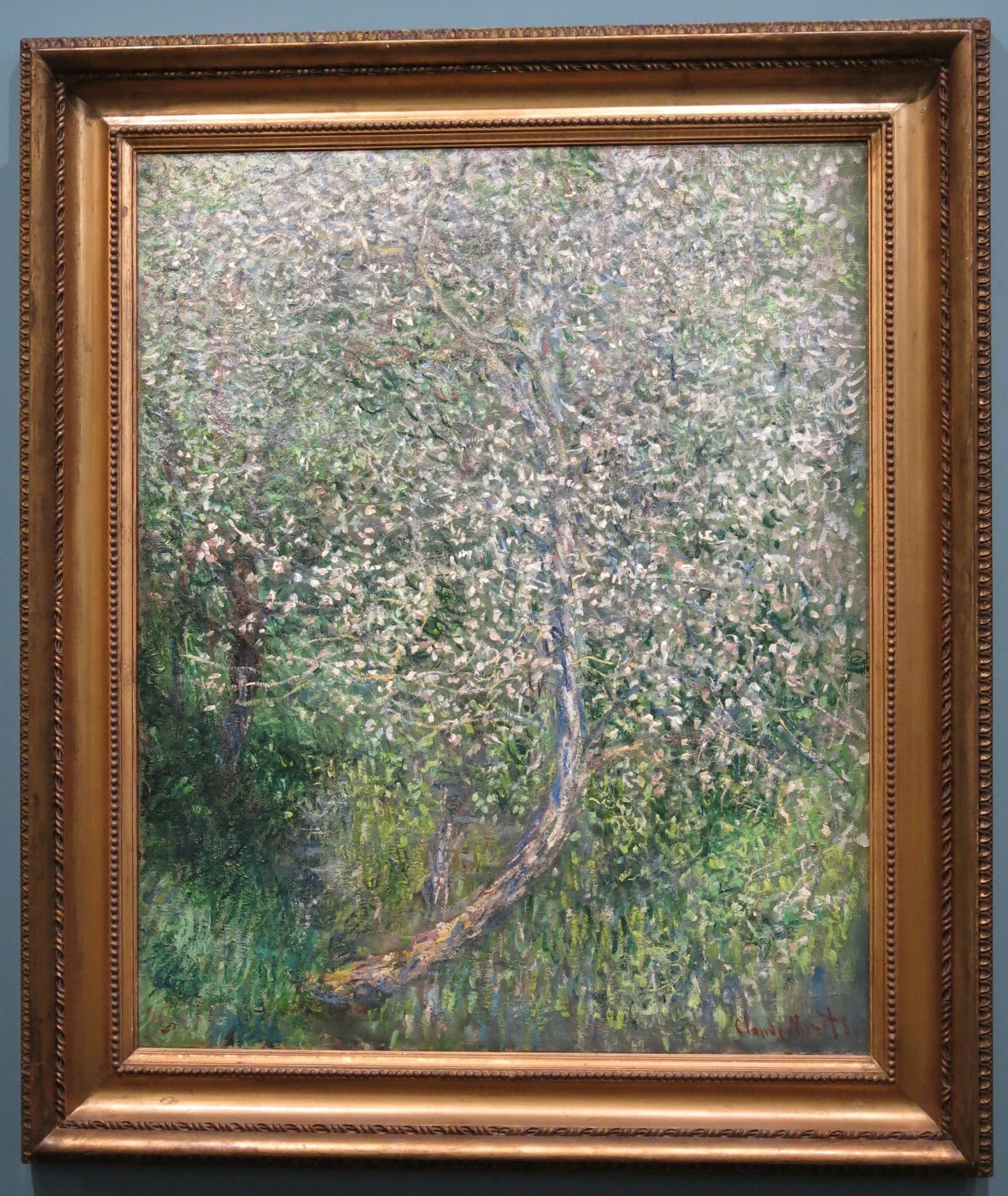 Pommier en fleurs au bord de l’eau W585 par Claude Monet, 1880