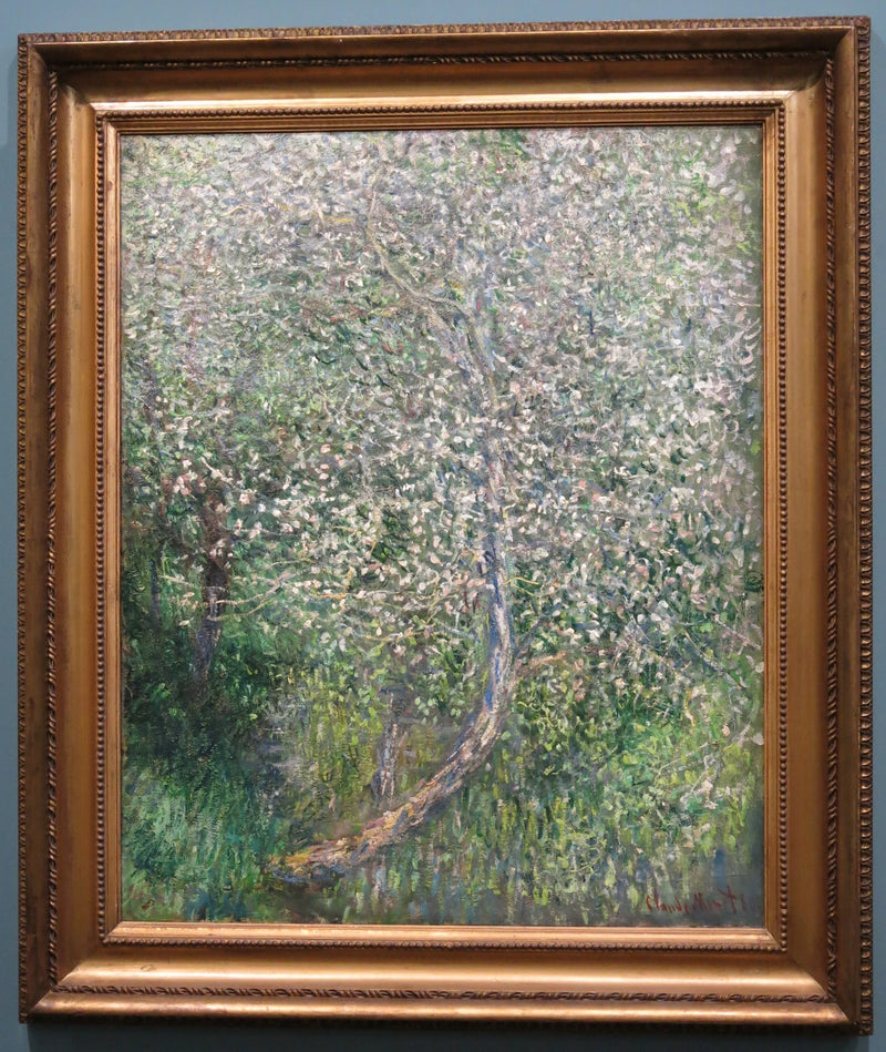 ต้นแอปเปิ้ลบานสะพรั่งริมน้ํา W585 - Claude Monet