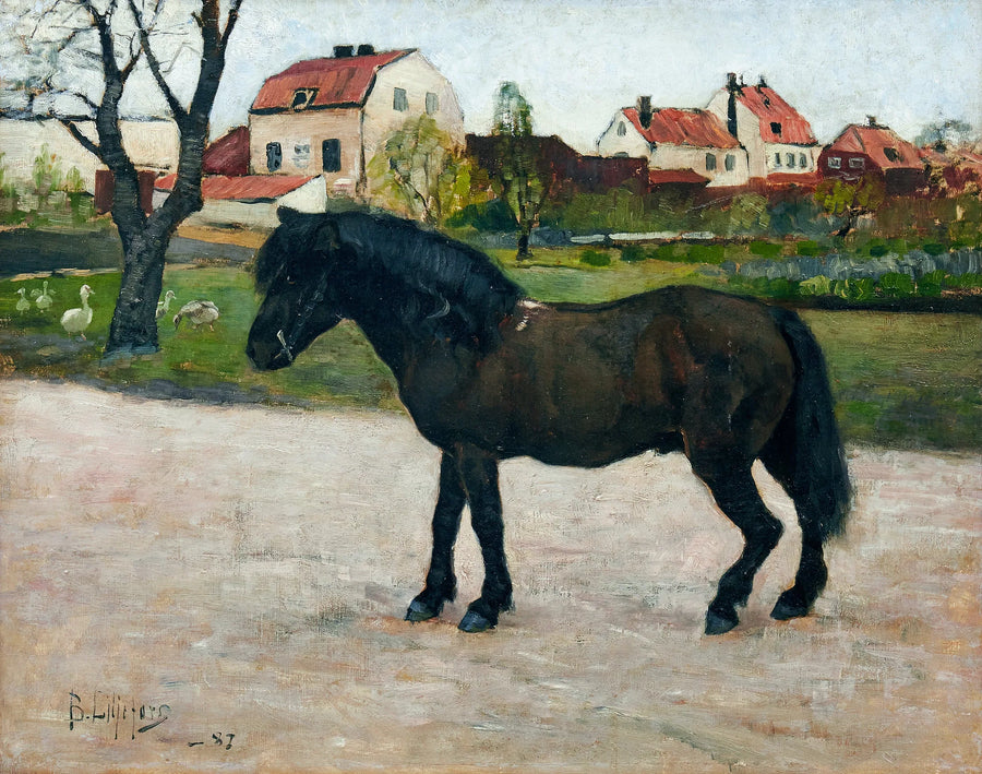 Poney noir - Bruno Liljefors
