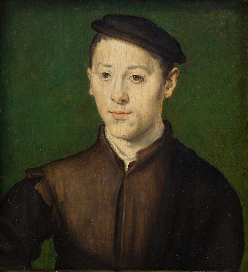 Portrait d'un jeune homme en demi-buste - Corneille de Lyon