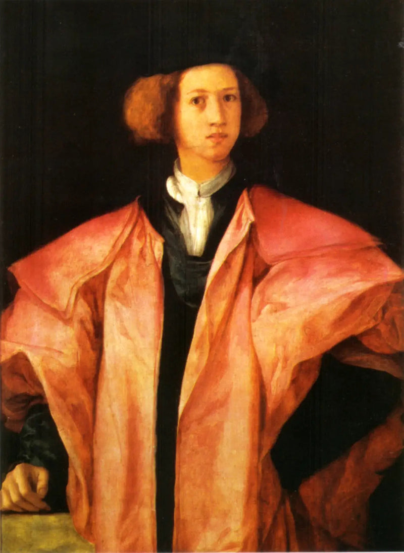 ภาพเหมือนของชายหนุ่ม - Pontormo