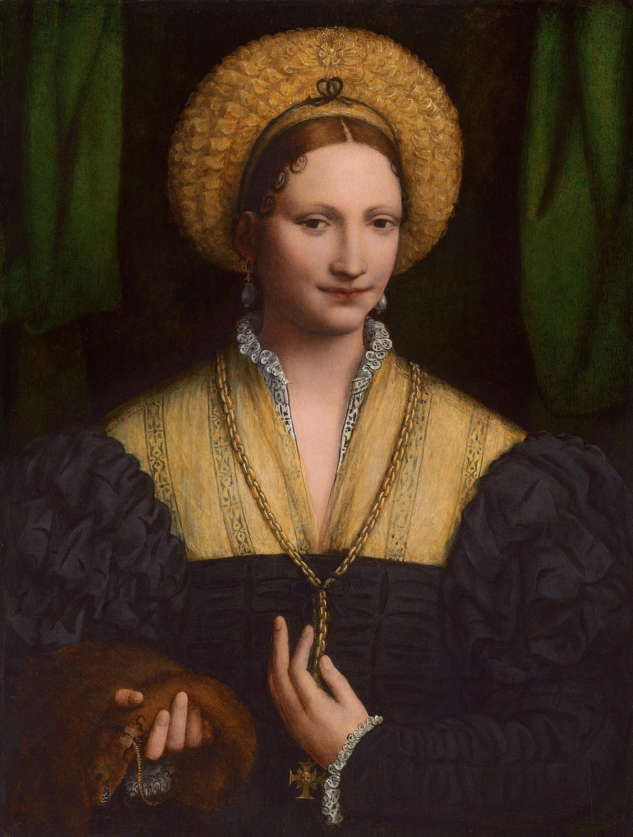 ภาพเหมือนหญิงสาว - Bernardino Luini