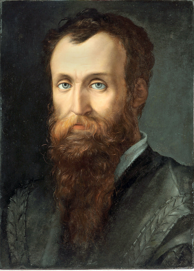 ภาพเหมือนของ Luca Martini - Bronzino