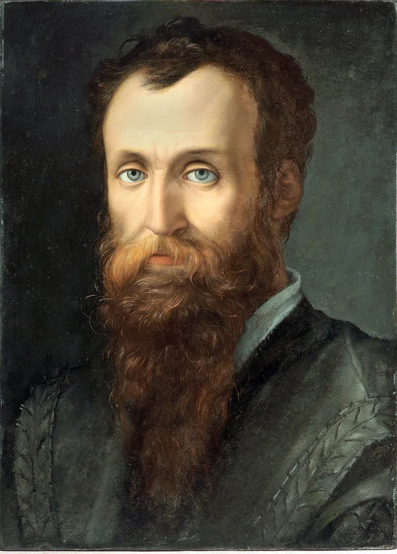 ภาพเหมือนของ Luca Martini - Bronzino