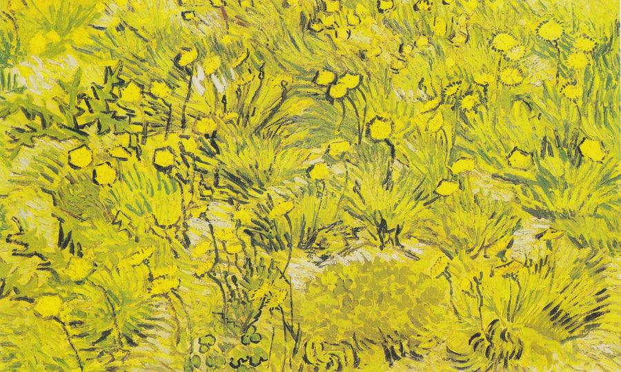 Prairie aux fleurs jaunes F584 de Vincent van Gogh, Kunst Museum Winterthur