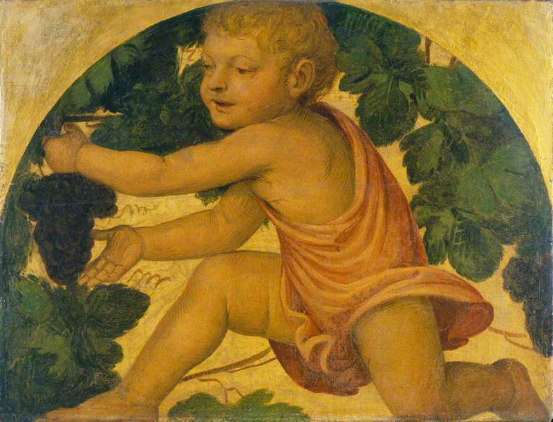 Putto cueillant des raisins - Bernardino Luini - Alpha Reproduction