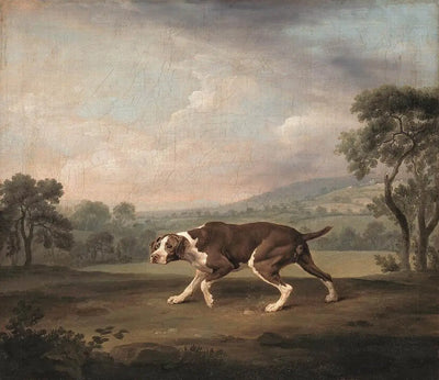 Q29920438 - George Stubbs - Alpha Reproduction