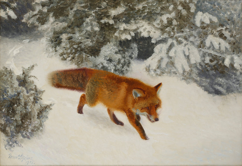 Renard dans un paysage hivernal - Bruno Liljefors