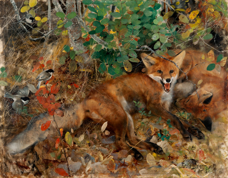Renards - Bruno Liljefors