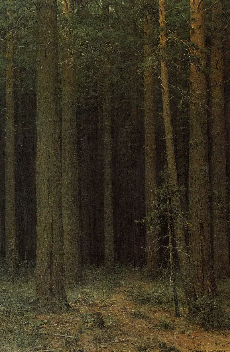 Réserve forestière. Pinède - Ivan Chichkine - Alpha Reproduction