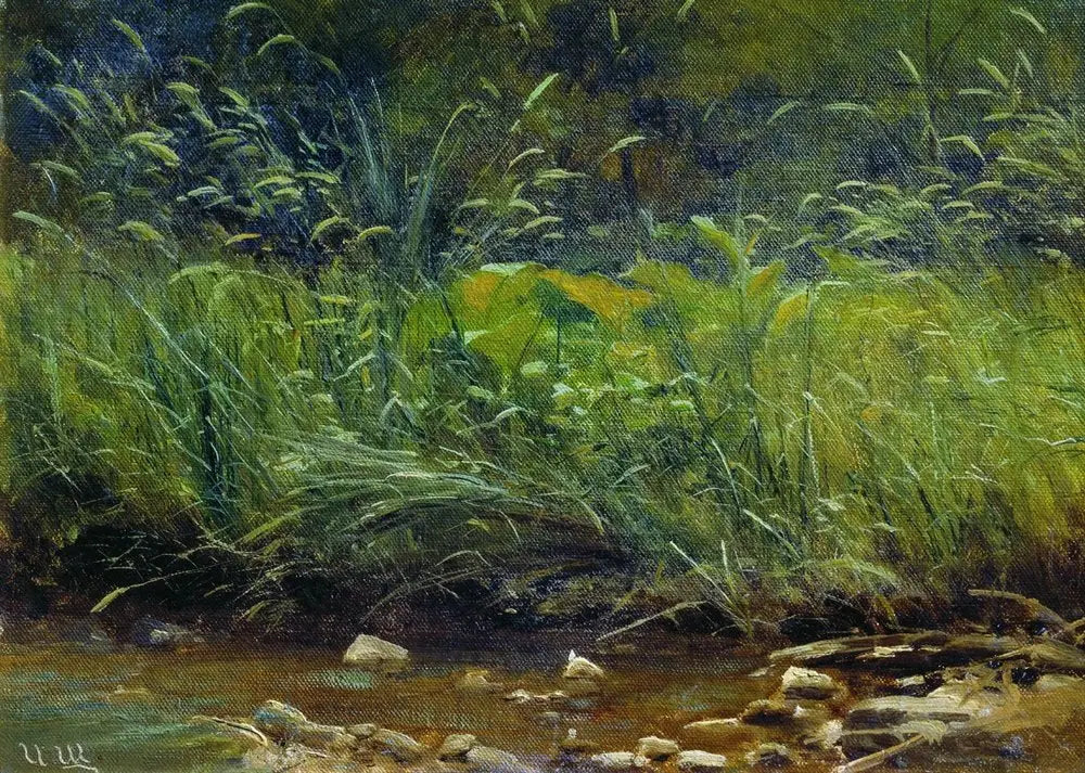 rive de l’étang - Ivan Chichkine - Alpha Reproduction