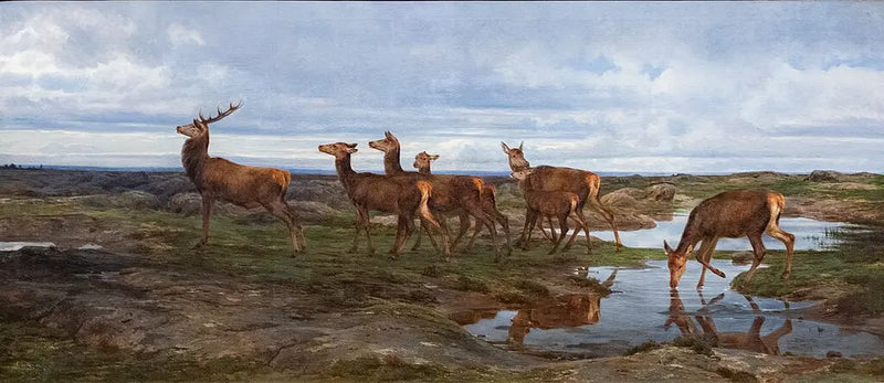 Une famille de cerfs - Rosa Bonheur