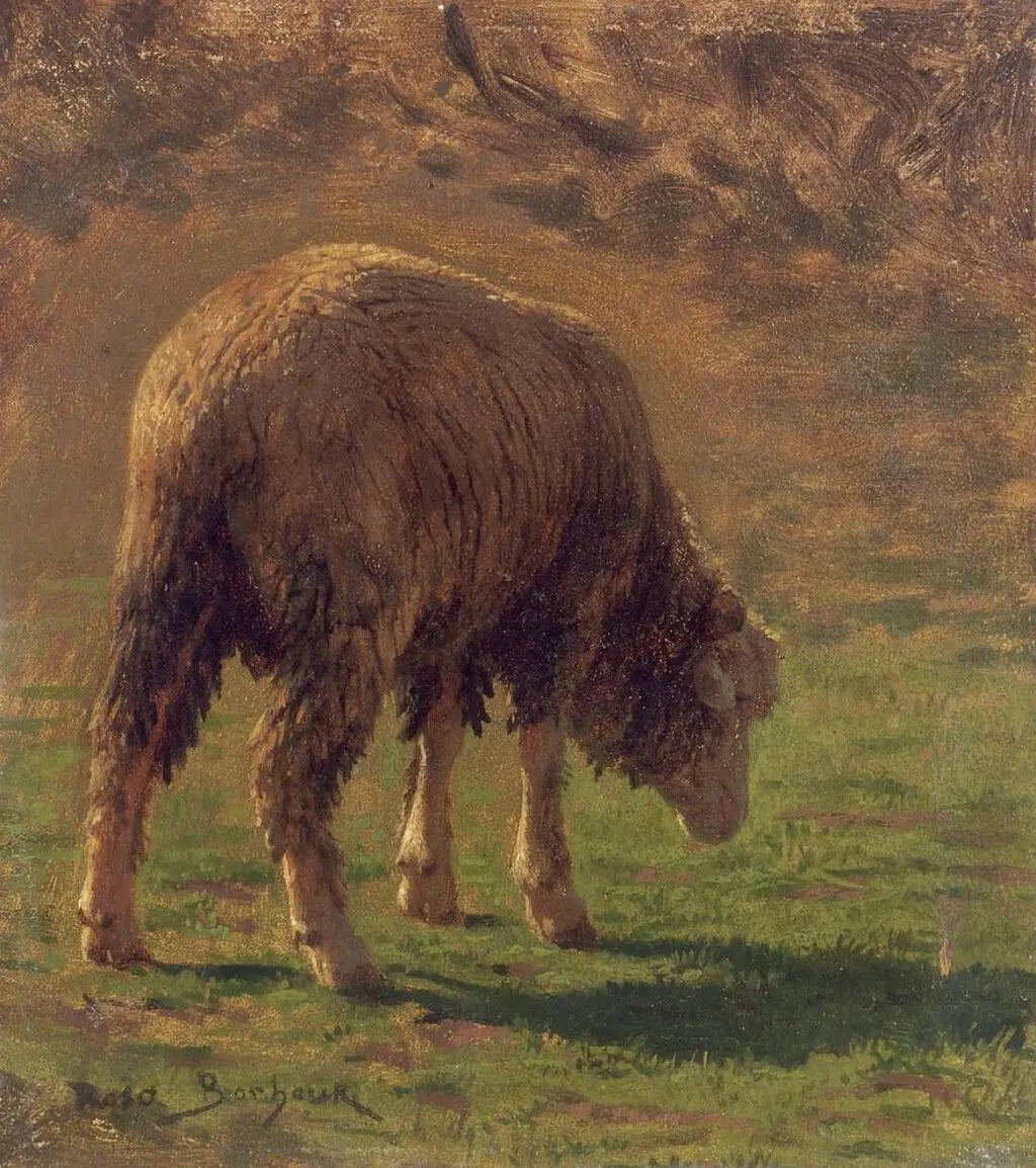 Étude de bélier, peinture de Rosa Bonheur