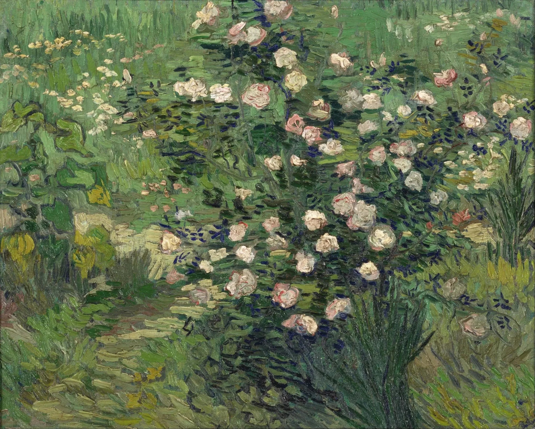 Roses - Vincent van Gogh image 1 reproduction réalisée par Alpha Reproduction