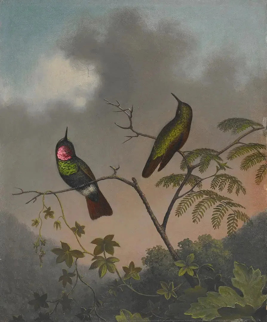 Rubis brésilien - Martin Johnson Heade image 1 reproduction artisanale de tableau