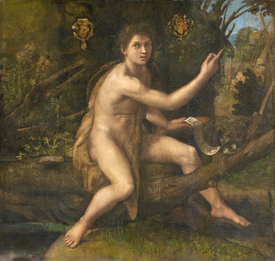 Saint Jean-Baptiste dans le désert - Raphaël Sanzio