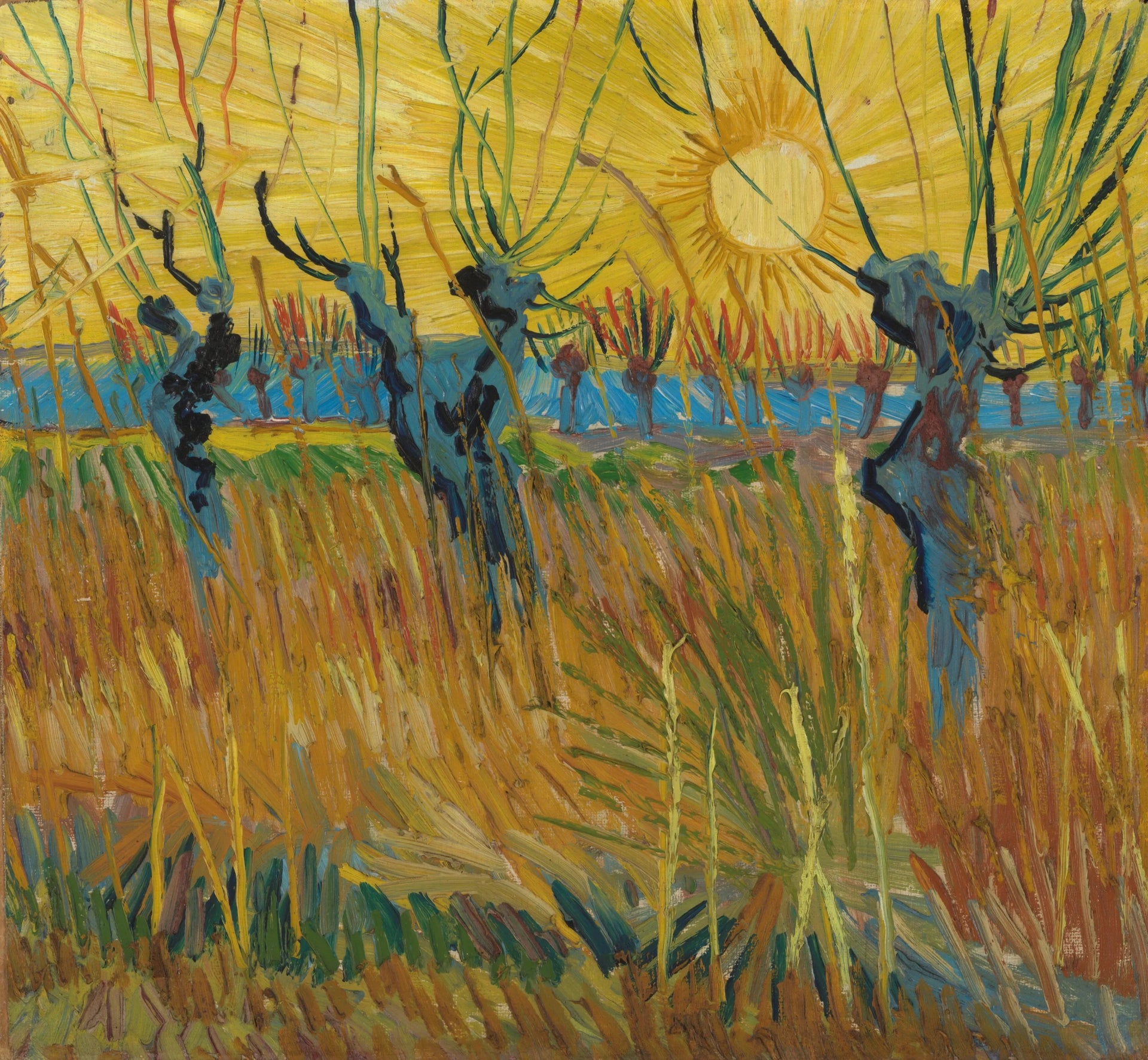 Saules têtards au soleil couchant, F572 — arbres sombres, champ rouge et ciel jaune peints par Vincent van Gogh