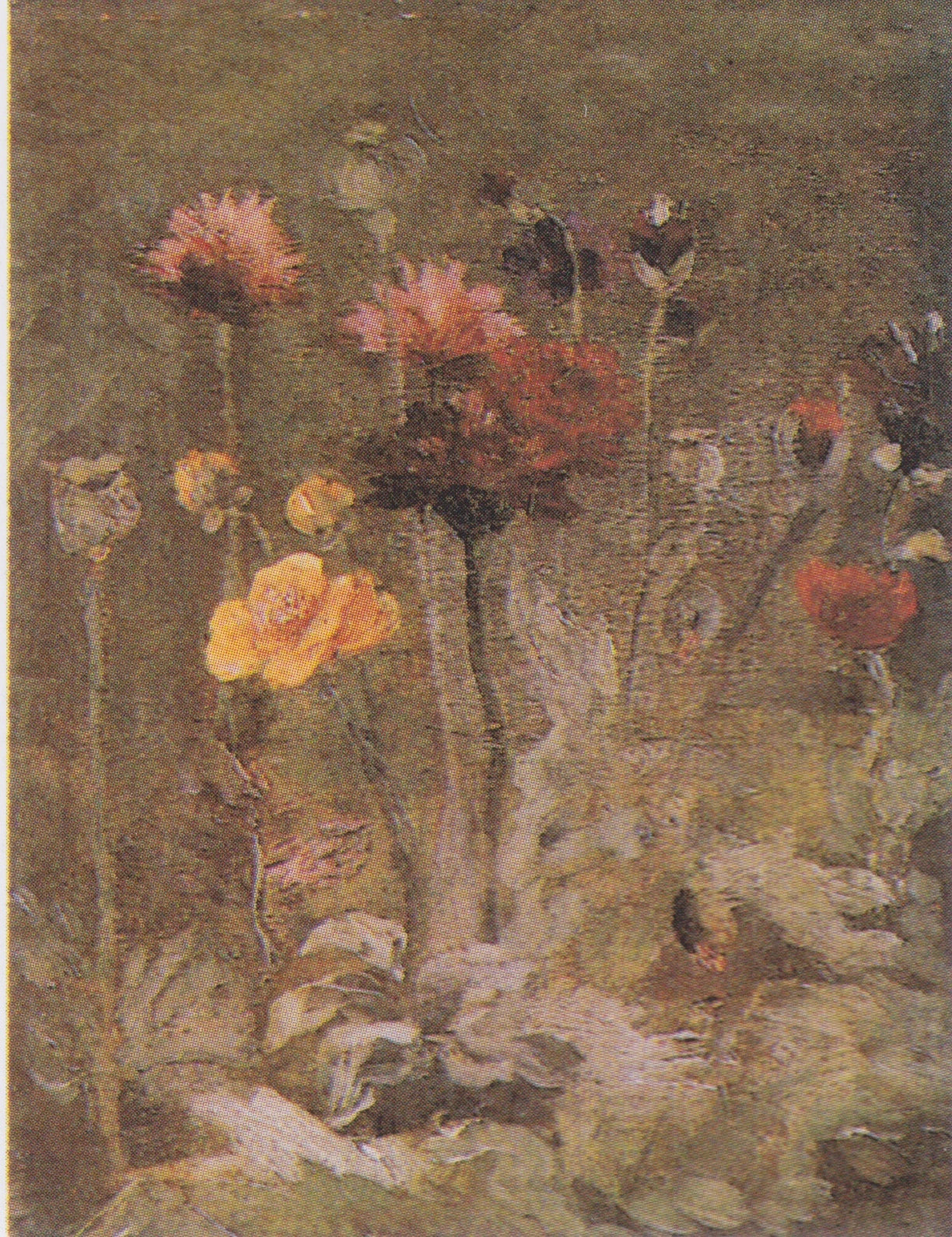 Nature morte avec scabieuses et renoncules F666 — fleurs peintes par Vincent van Gogh