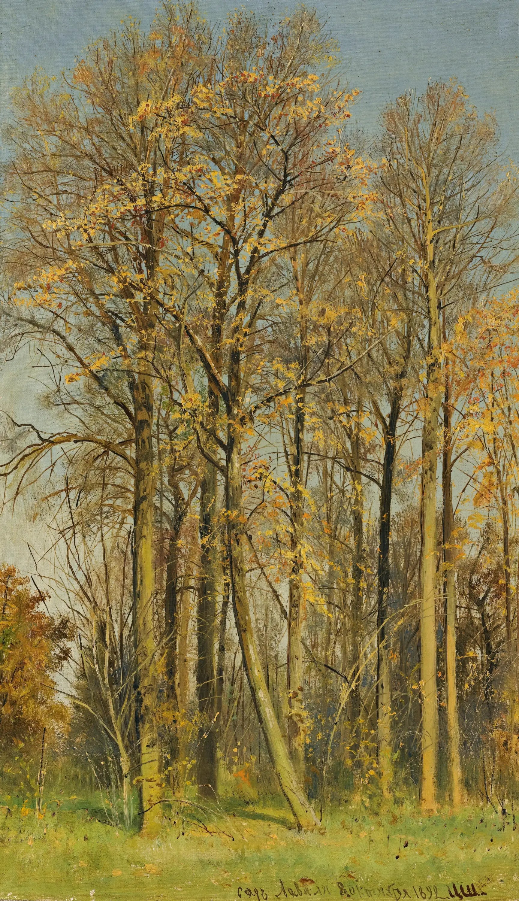Sorbier des sorbiers en automne - Ivan Chichkine - Alpha Reproduction