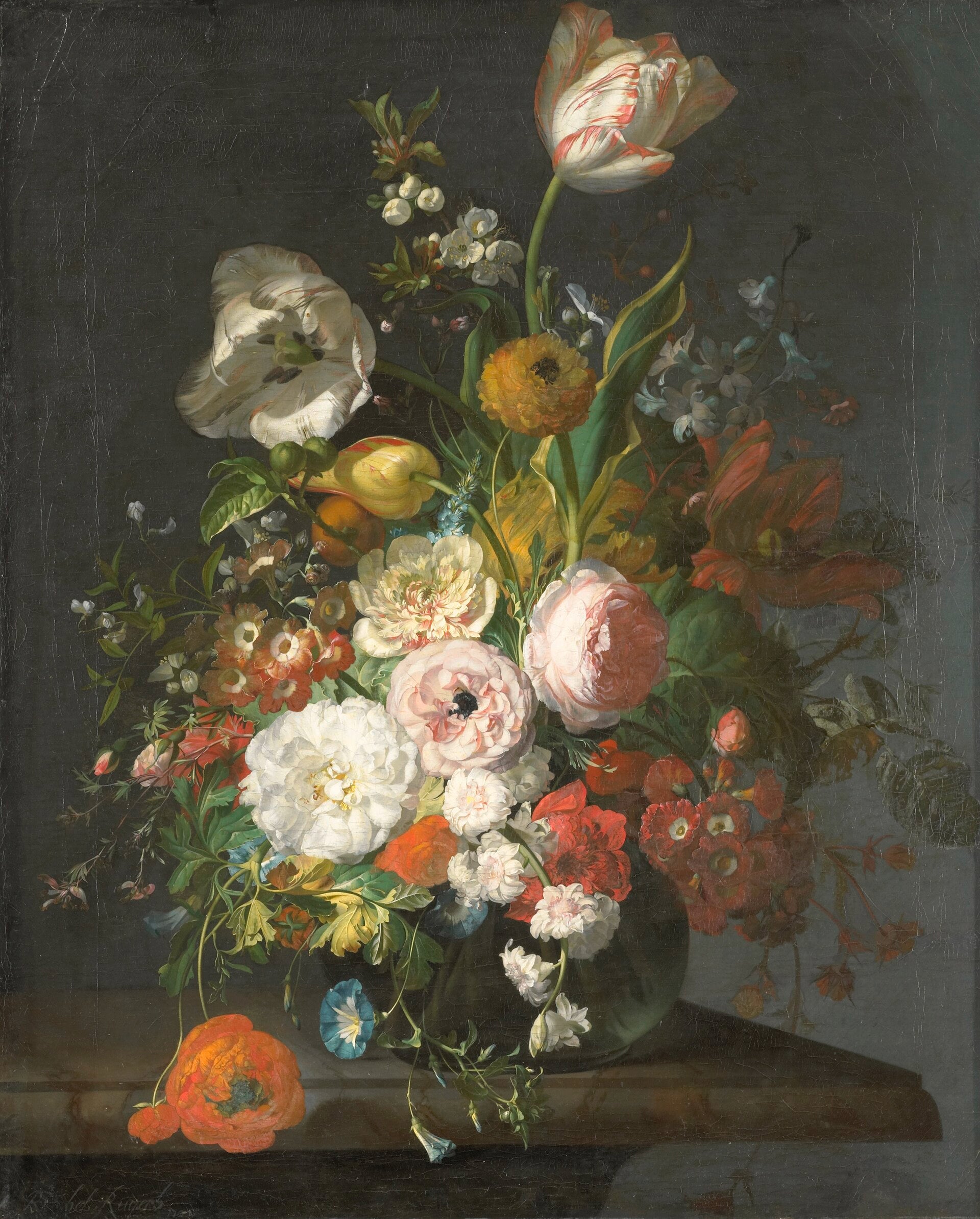 Nature morte aux fleurs et aux fruits - Rachel Ruysch