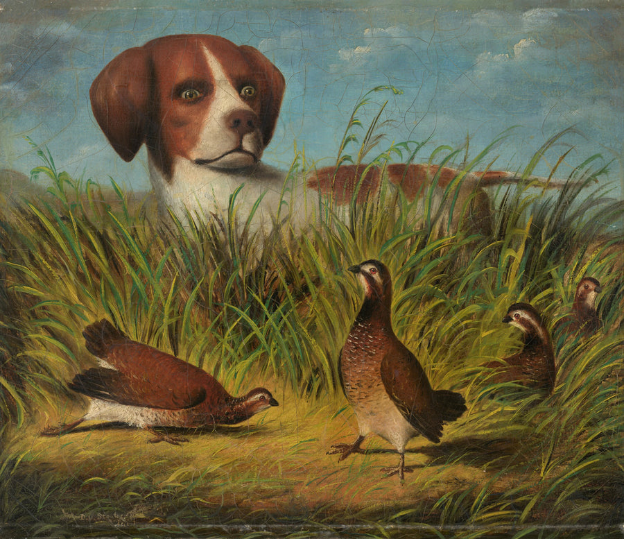 Sur le point - D.G. Stouter