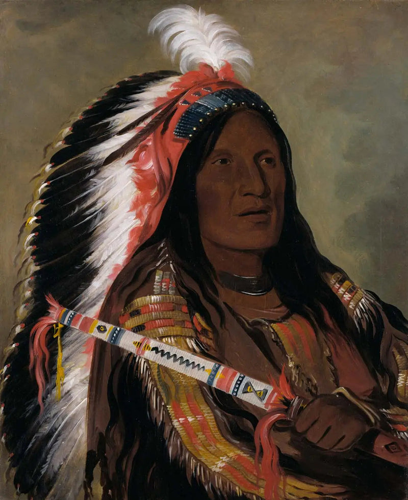 ทาห์-เท็ค-อะ-ดาฮายร์, Vent raide, un brave du groupe Bad Arrow Points - George Catlin