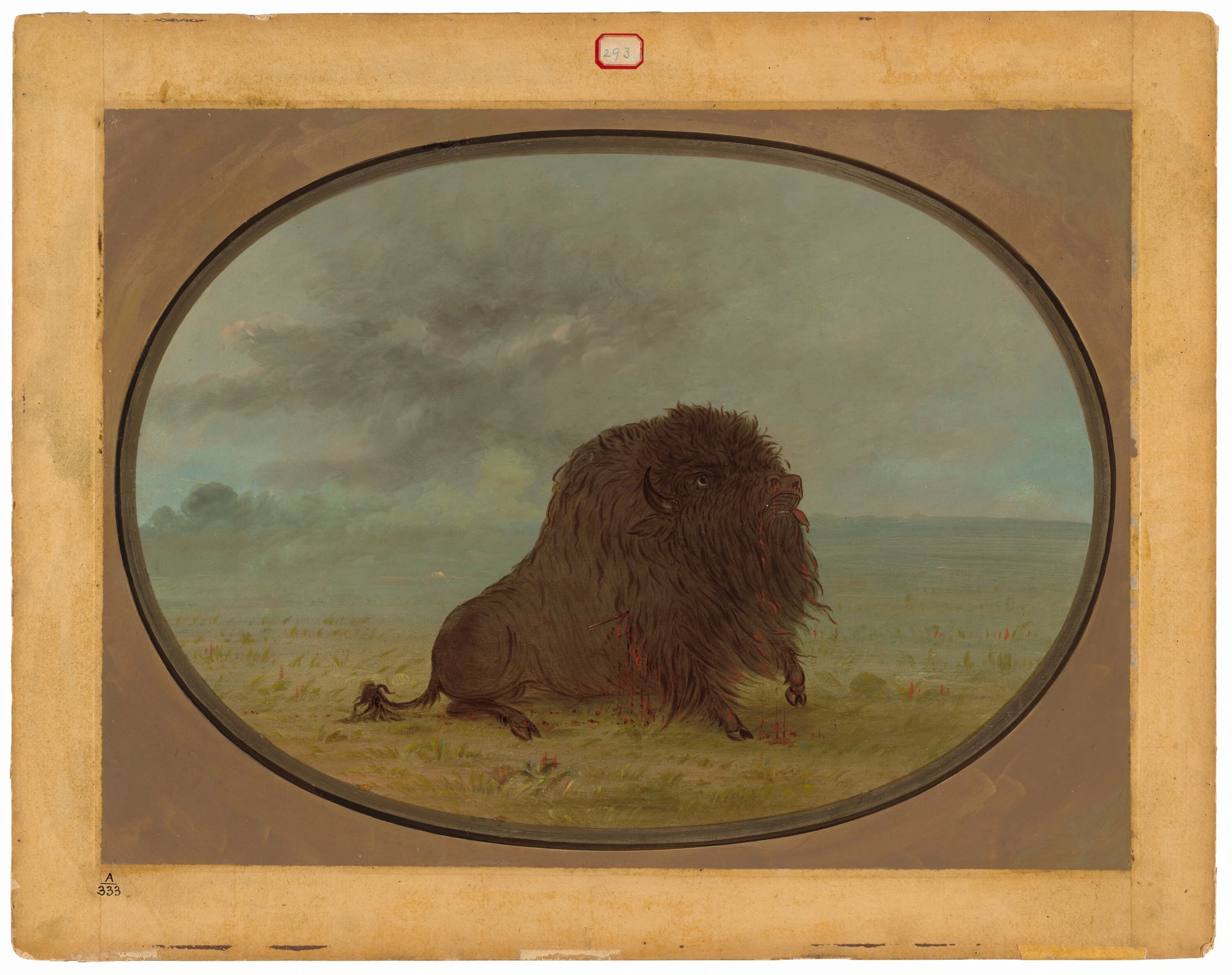 Taureau buffle mourant - George Catlin