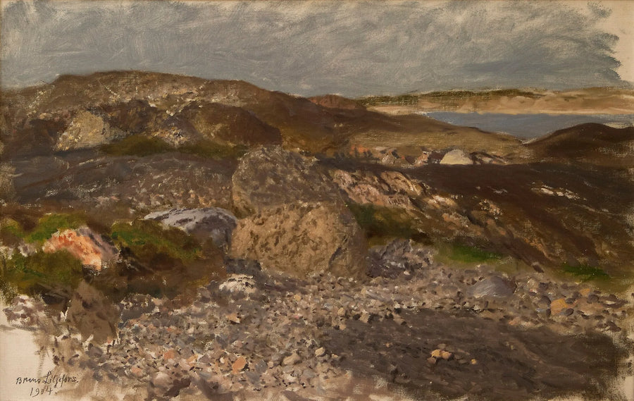 Terrain rocailleux - Bruno Liljefors