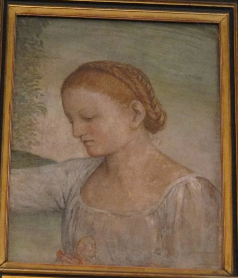 หัวของเด็กหญิง - Bernardino Luini