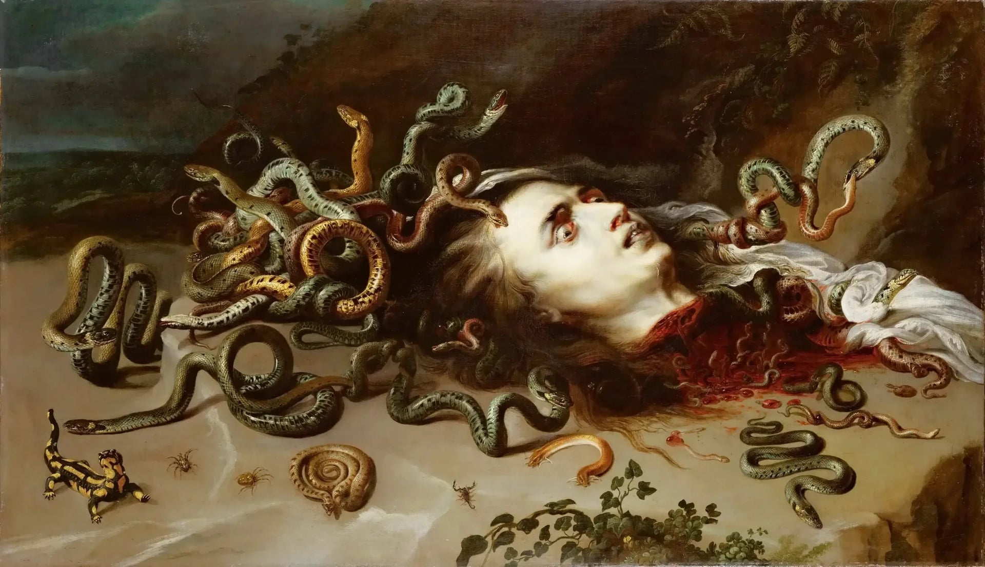 Tête de Méduse - Peter Paul Rubens image 1 reproduction de peinture à l’huile