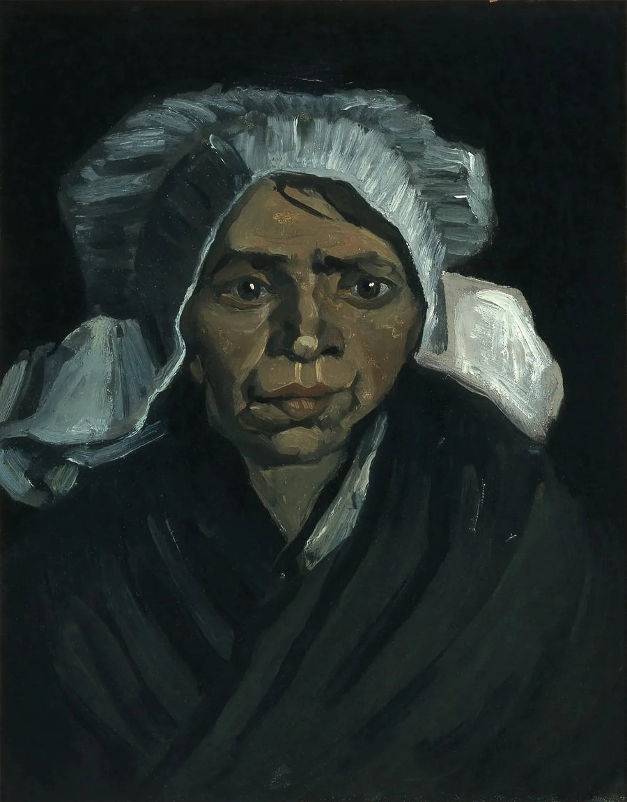 หัวของชาวนา - Vincent van Gogh