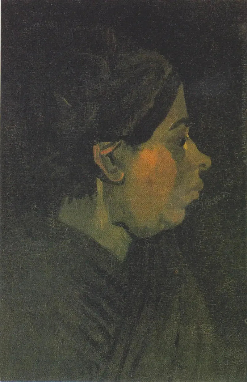 หัวของชาวนา - Vincent van Gogh
