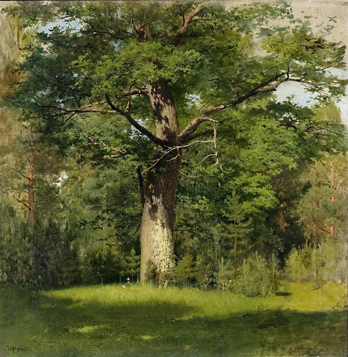 The Oak - Isaac Levitan image 1 reproduction de peinture à l’huile