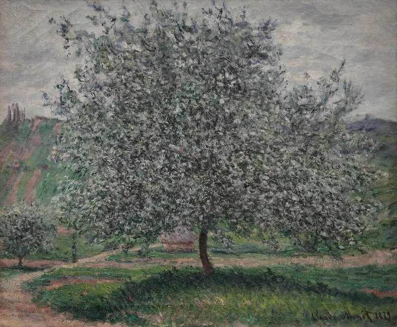 ชื่อเรื่องแปลไม่พร้อมใช้งาน - Claude Monet