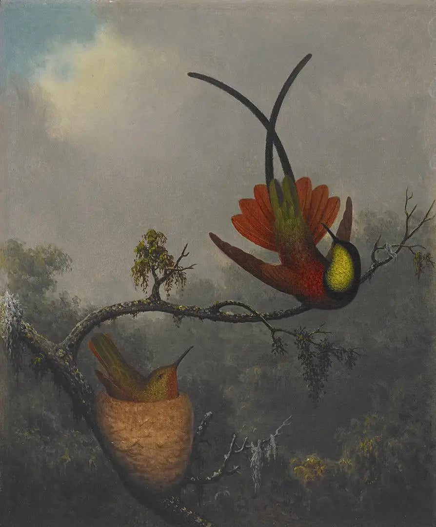 Topaze cramoisie - Martin Johnson Heade - Alpha Reproduction
