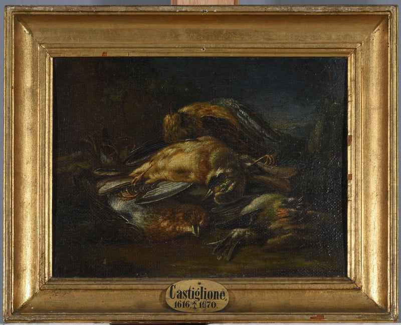 Tote Vögel - Giovanni Benedetto Castiglione
