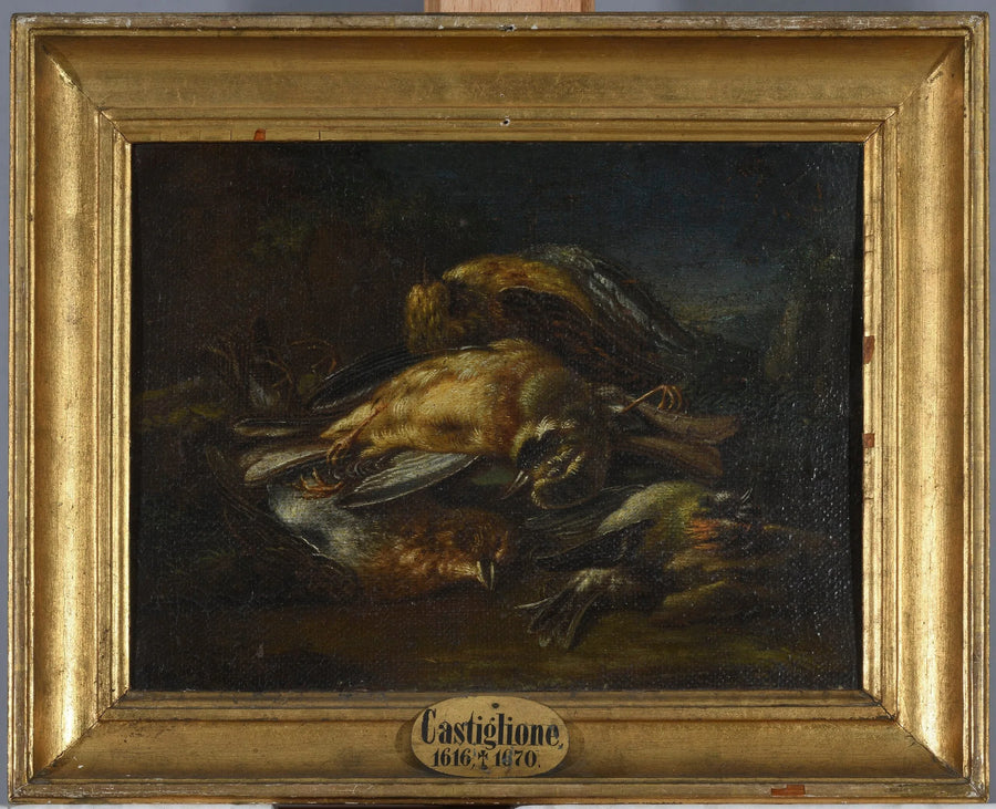 Tote Vögel - Giovanni Benedetto Castiglione