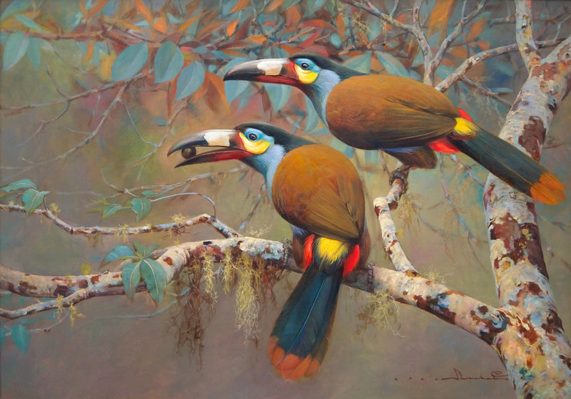 ทูแคนแห่งภูเขา | 60x90ซม.