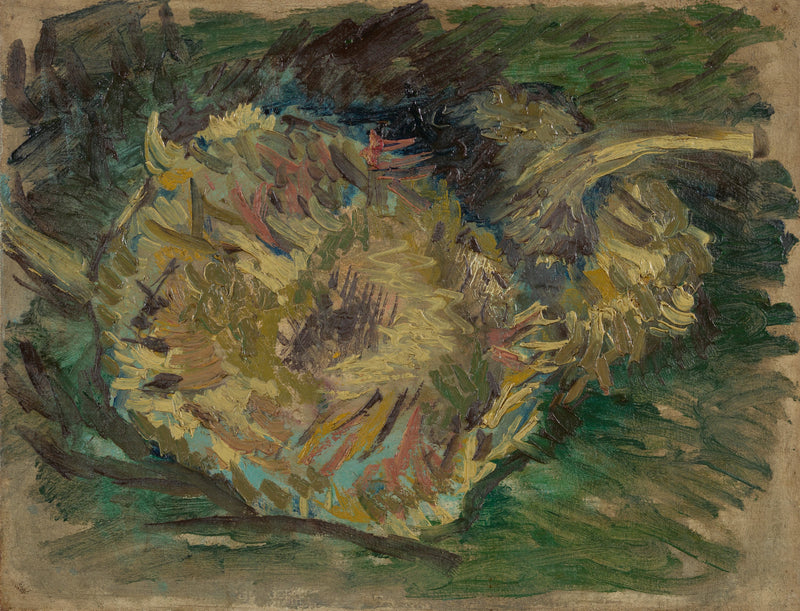 ทานตะวันติดเมล็ด - Vincent van Gogh