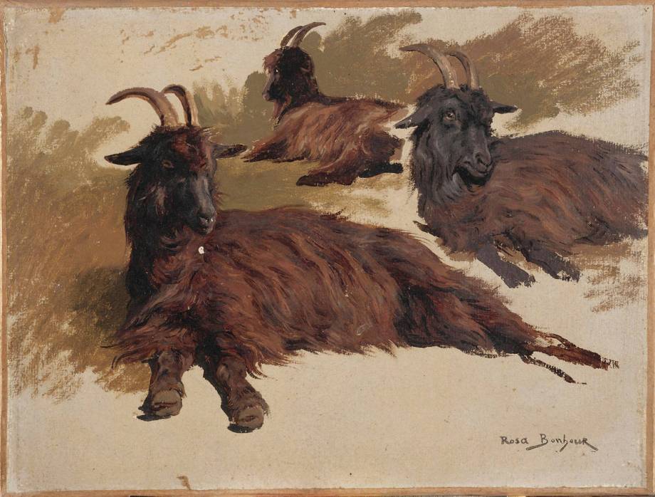 Trois chèvres au repos - Rosa Bonheur - Alpha Reproduction