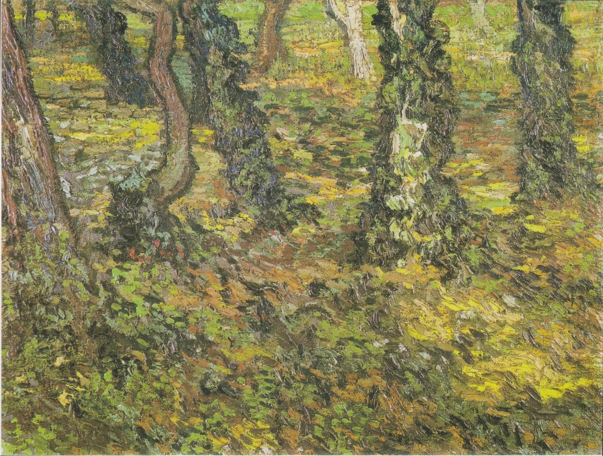 Troncs d'arbres avec lierre - Vincent van Gogh image 1 copie peinte à la main à l’huile